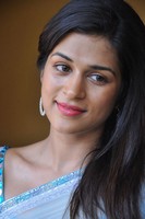 Shraddha Das Hot Saree Stills